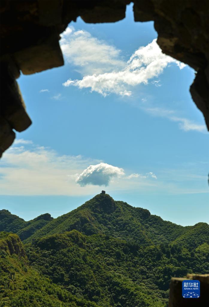 ag自助投注